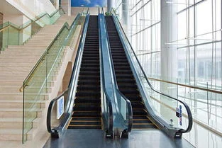 Public building projects require stronger coordination notes.